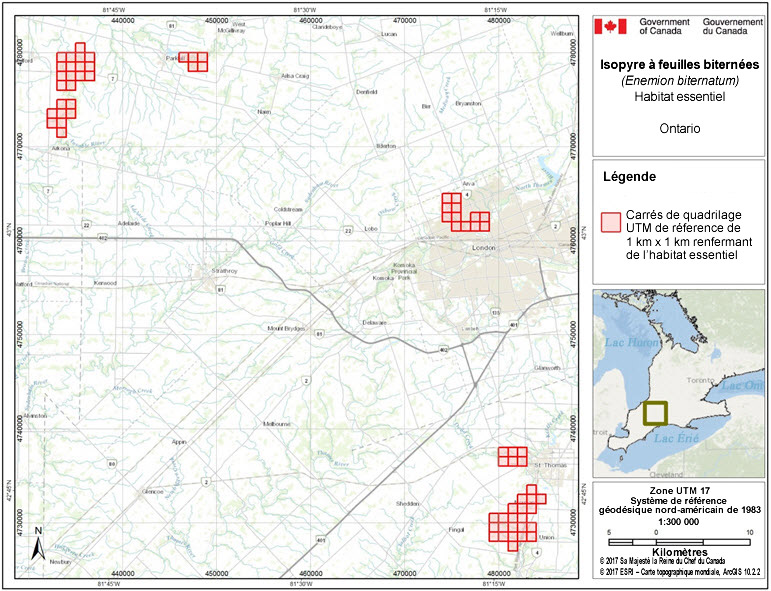 Grid squares that contain critical habitat