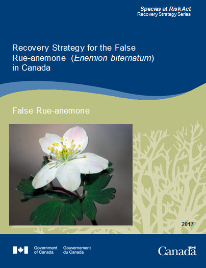 Recovery Strategy for the False Rue anemone