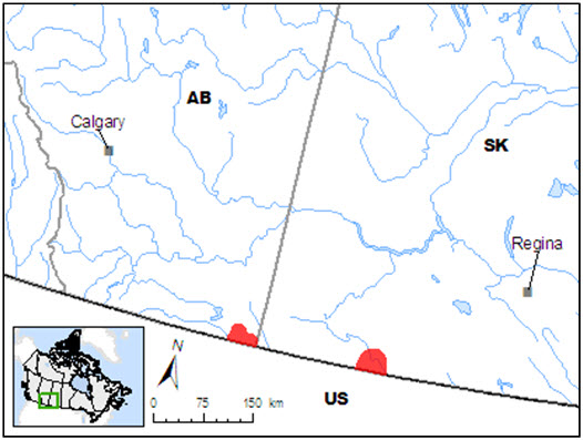 Known distribution of the Mountain  Plover