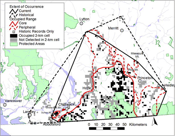 Figure 1. Mountain Beaver extent of occurrence and occupied range in B.C. description (See long description below)