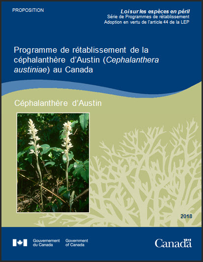 Programme de rétablissement de la céphalanthère d’Austin 