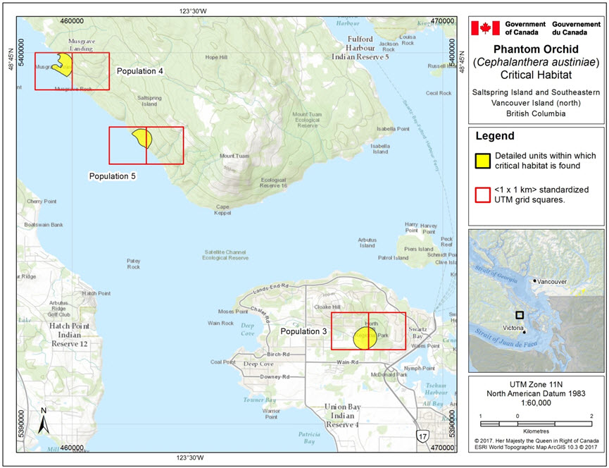 Critical habitat for Phantom Orchid on Saltspring Island and southeastern Vancouver Island (north) for Population 3 (Horth Hill, North Saanich), Population 4 (Saltspring Island, Musgrave Landing), and Population 5