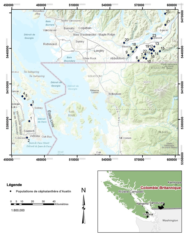 Répartition de la céphalanthère  d’Austin en Colombie-Britannique en 2016.