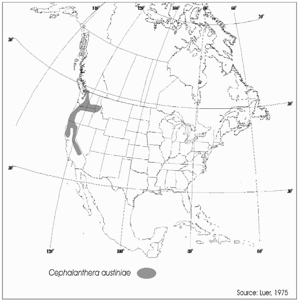 North American distribution of phantom orchid.