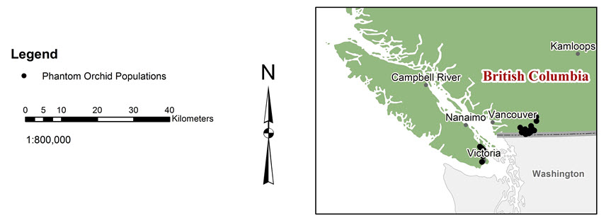 Phantom orchid distribution in British Columbia as of 2016.
