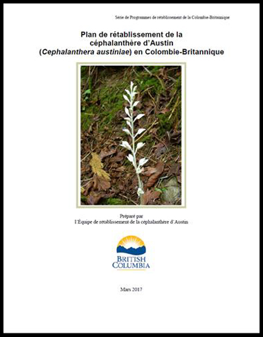 Plan de  rétablissement de la céphalanthère d’Austin