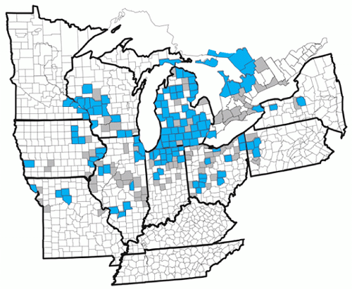 Current and historic range of the Massasauga in the Great Lakes Region by county and district. (See long description below)