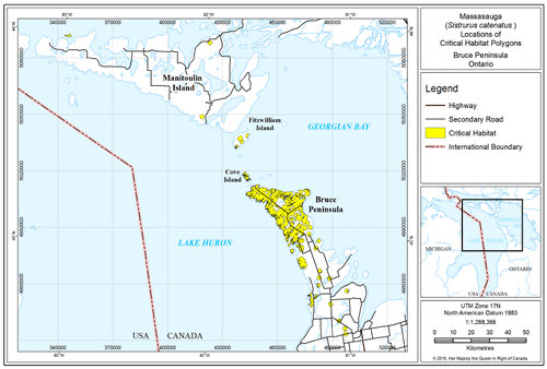 Carte indiquant les emplacements généraux des secteurs comprenant l’habitat essentiel pour la population régionale de massasaugas de la péninsule Bruce. (Voir description longue ci-dessous.)
