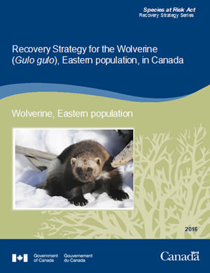 Cover of publication