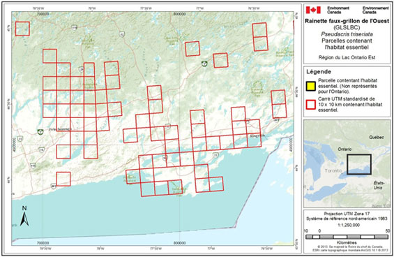Figure A-6. Habitat essentiel pour la rainette faux-grillon de l’Ouest (GLSLBC) dans la région du Lac Ontario Est en Ontario. (Voir description longue ci-dessous.)