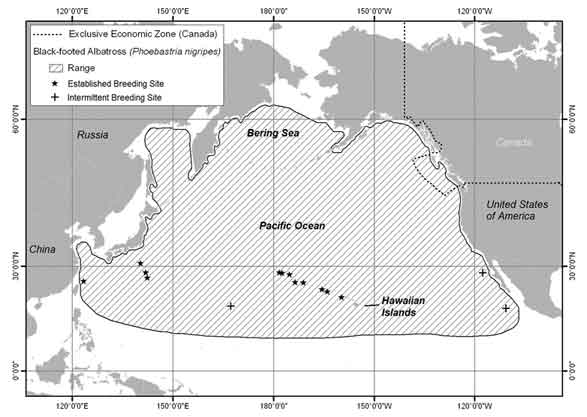 Map showinig Global at-sea and terrestrial range of Black-footed Albatross.  See detailed image description below