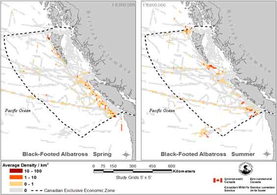 Map showinig average grid cell densities of Black-footed Albatross in Canadian waters.  See detailed image description below