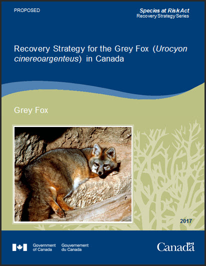 Recovery Strategy for the Gray Fox