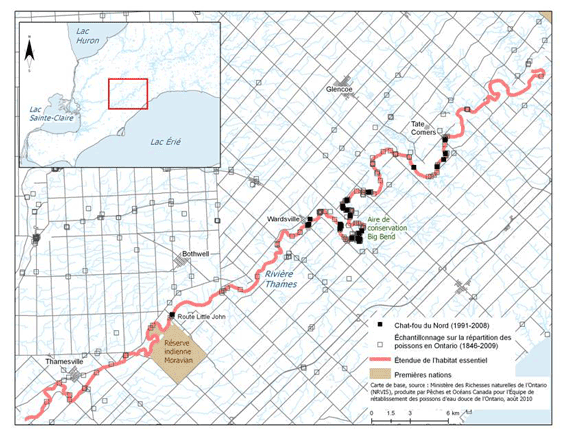 Figure 4. Habitat essentiel désigné pour le chat-fou du Nord dans la rivière Thames (Voir description longue ci-dessous.)