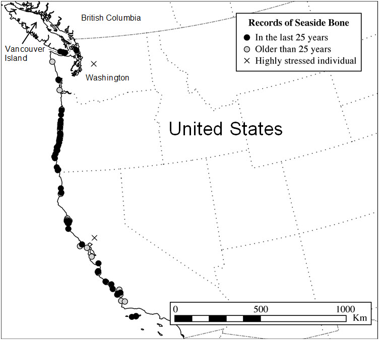 Global Distribution of Seaside Bone Lichen