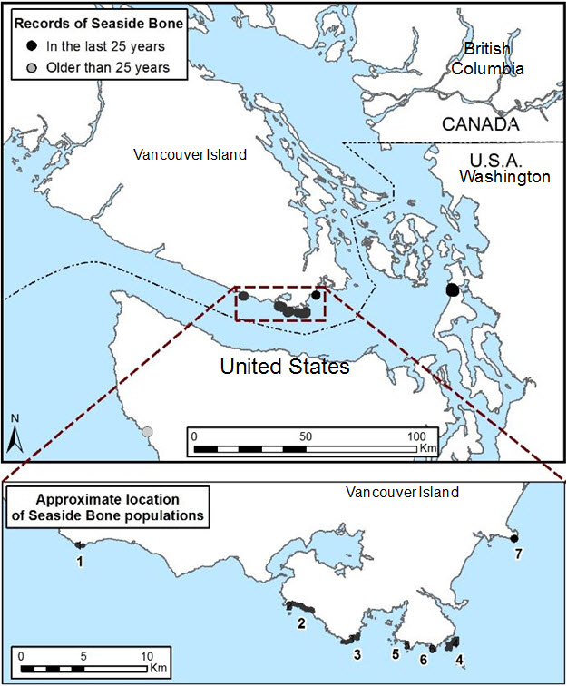 Distribution of Seaside Bone Lichen populations