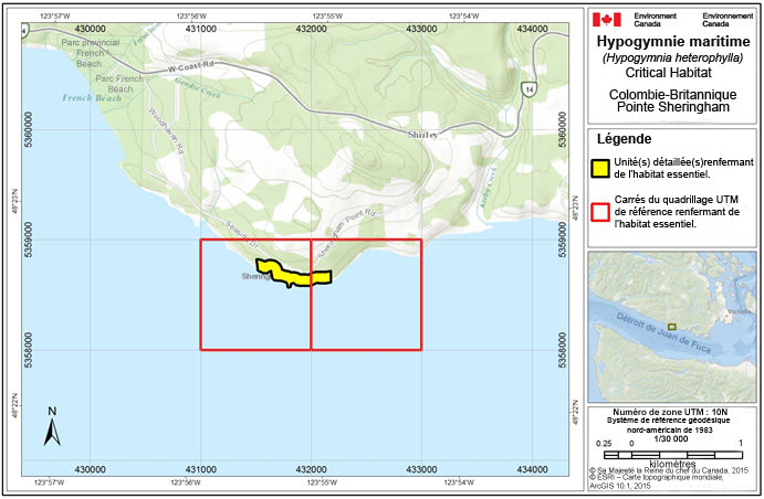 L'habitat essentiel de l'hypogymnie maritime à la pointe Sheringham