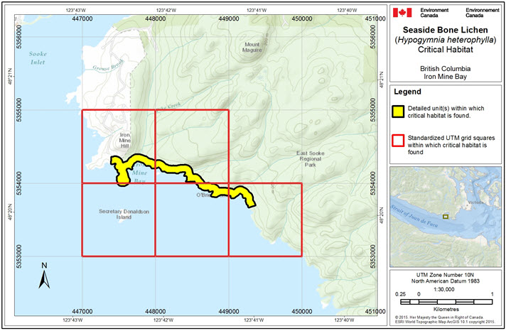 Critical habitat for Seaside Bone Lichen at Iron Mine Bay