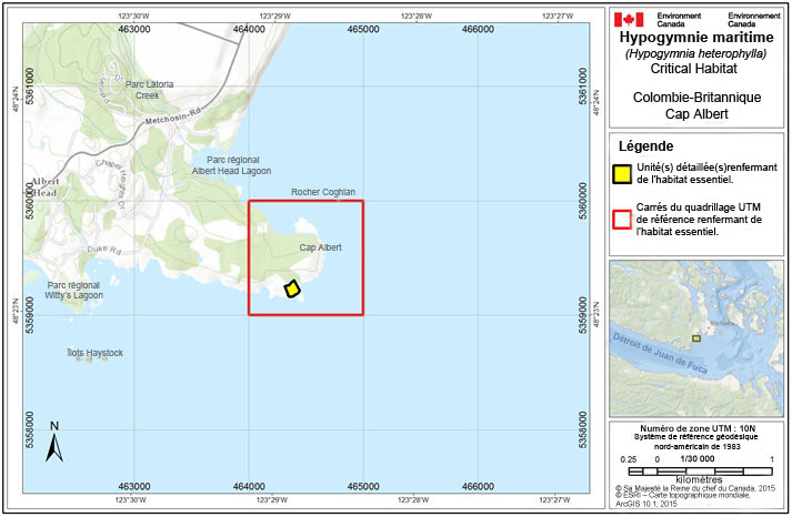 L'habitat essentiel de l'hypogymnie maritime au cap Albert