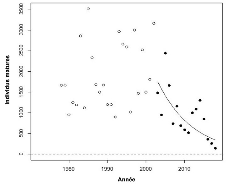 Tendance du nombre d’individus matures de l’UD de la truite arc en ciel anadrome