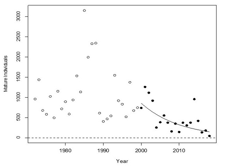 Trend in  the number of mature individuals in the Chilcotin River Steelhead Trout DU,  1972-2018