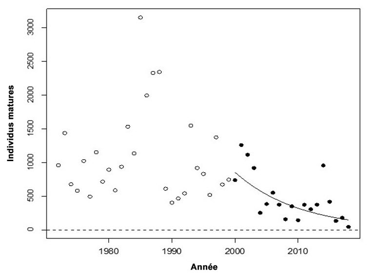 Tendance du nombre d’individus matures de l’UD de la truite arc en ciel anadrome de la rivière Chilcotin