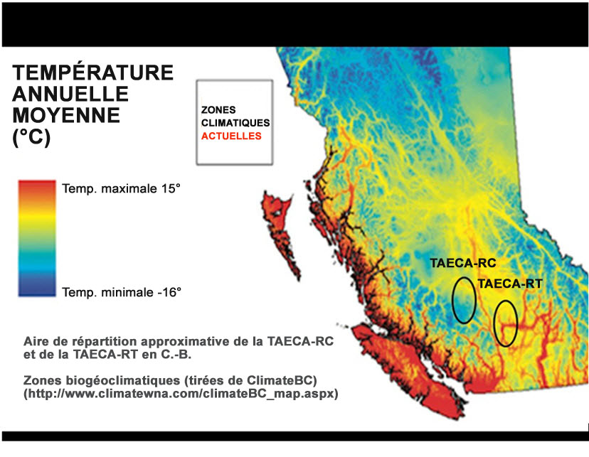 Emplacement approximatif des populations de truites arc en ciel anadromes de la rivière Chilcotin