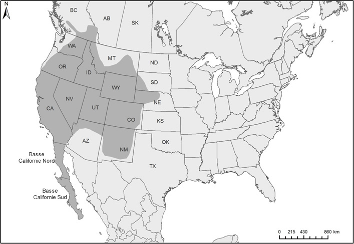 Carte : Amérique du Nord