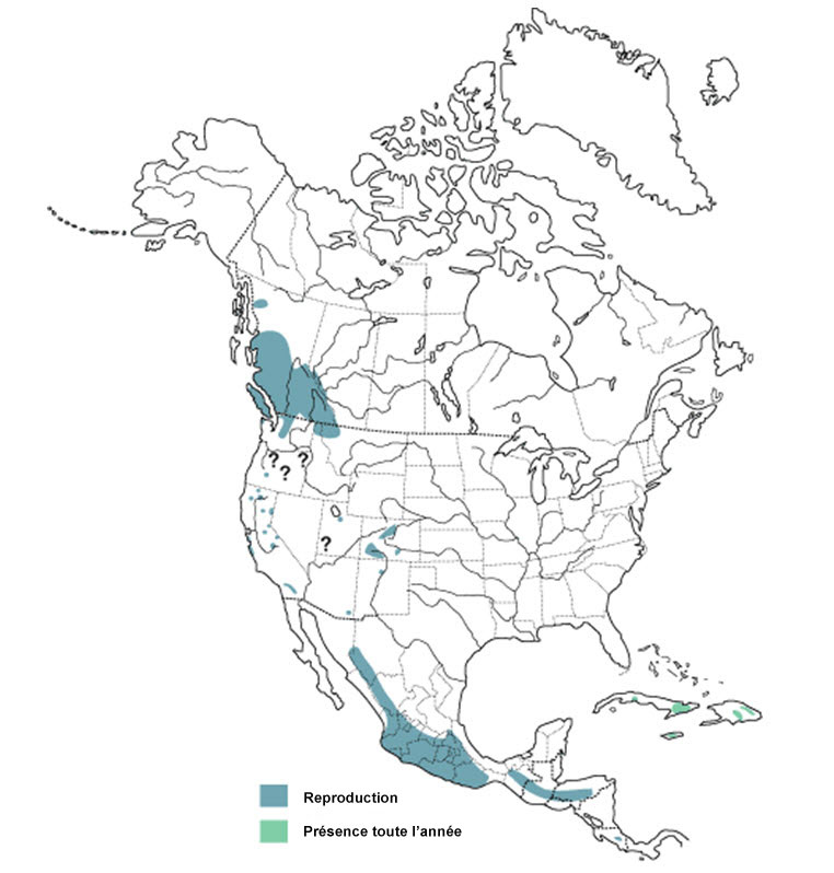 Carte : Amérique du Nord, en Amérique centrale et dans les Antilles
