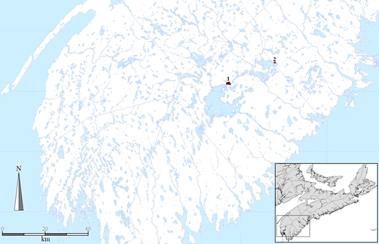 Carte de la répartition canadienne du rhynchospore à gros épillets