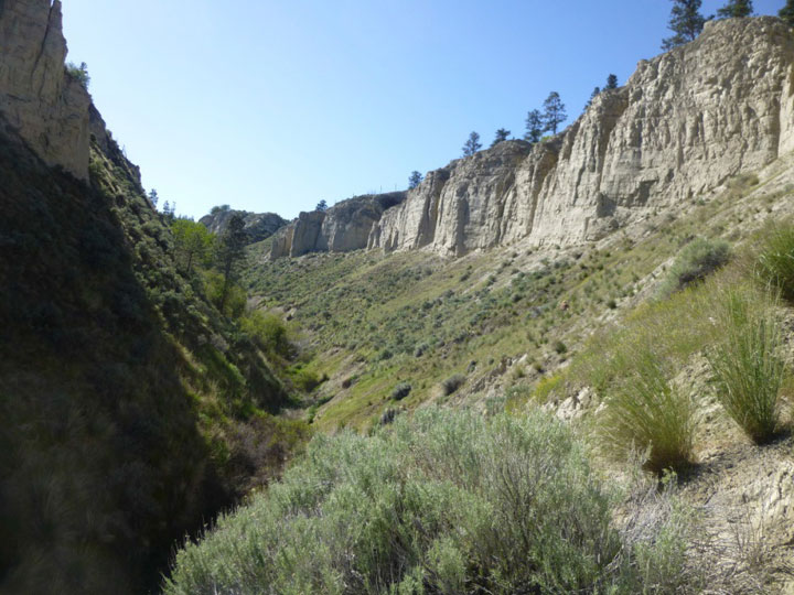 Photo: silt bluffs along the eastern shore of Okanagan Lake