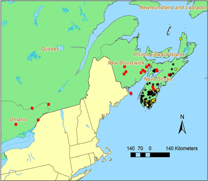 Distribution map of the Black-foam Lichenin Canada