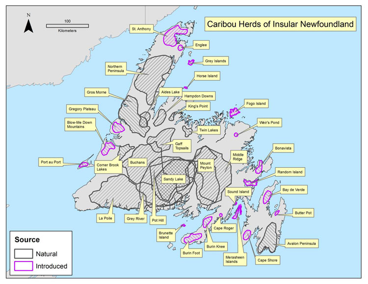 Map of the island of Newfoundland