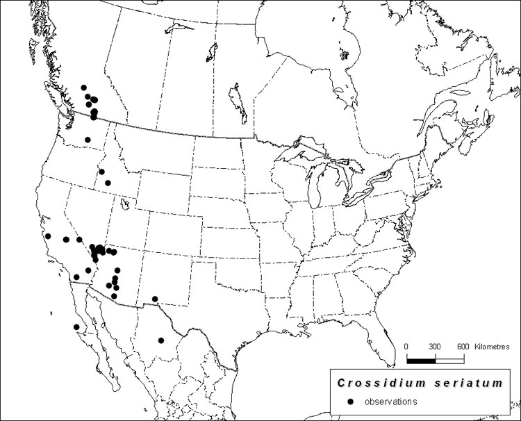 Map of North America