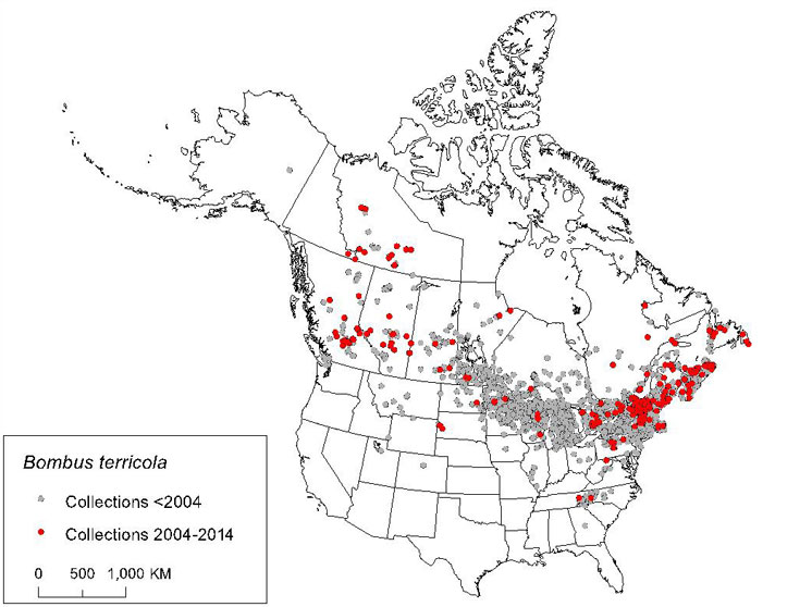 Map of Canada and USA