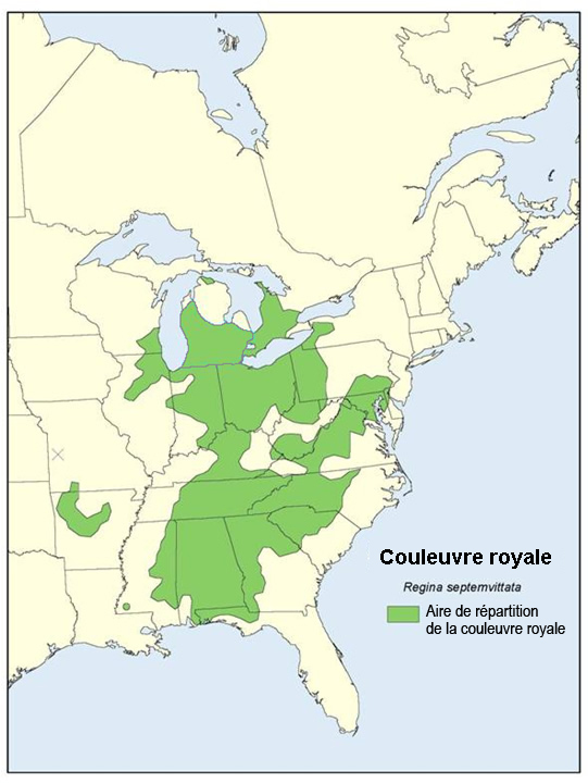 Aire de répartition de la couleuvre royale en Amérique du Nord