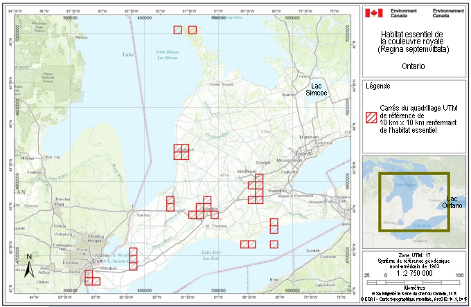 Carrés de quadrillage renfermant de l’habitat essentiel