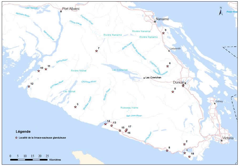 Carte : Localités de la limace-sauteuse glanduleuse en Colombie-Britannique