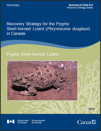 Recovery Strategy for the Pygmy Short horned Lizard