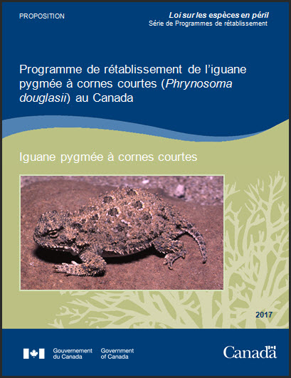 Programme de rétablissement de l'iguane pygmée à cornes courtes