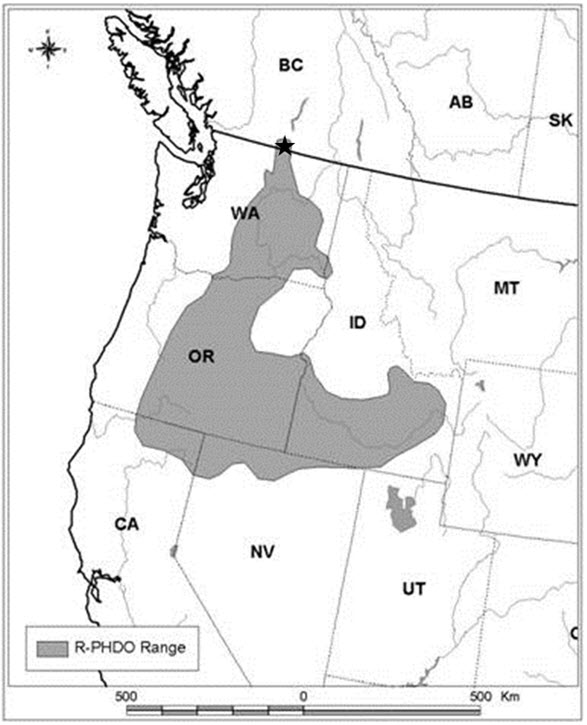 Approximate historic range of Pygmy Short-horned  Lizard.