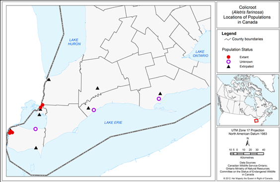 Figure 2 represents the Canadian range of Colicroot showing the locations of known extant, unknown, and extirpated populations in southern Ontario.