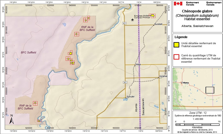 L’habitat essentiel du chénopode glabre en Saskatchewan