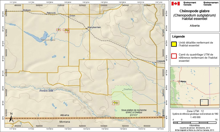 L’habitat essentiel du chénopode glabre en Alberta