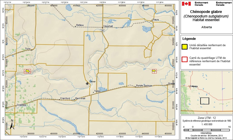 L’habitat essentiel du chénopode glabre en Alberta