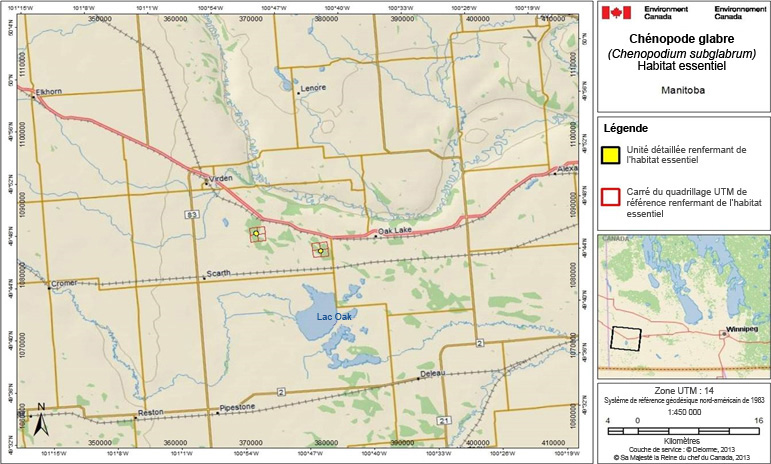 L’habitat essentiel du chénopode glabre au Manitoba