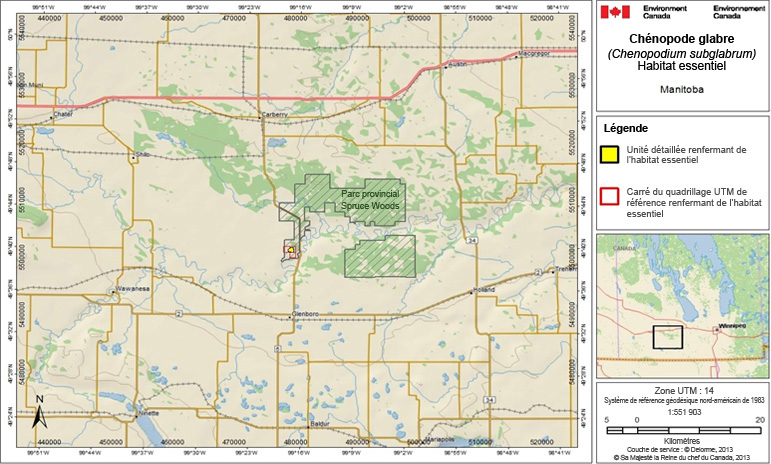 L’habitat essentiel du chénopode glabre au Manitoba