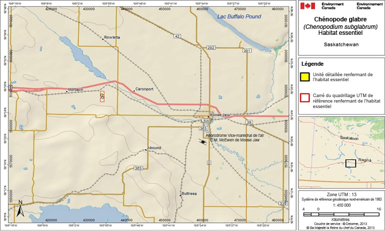 L’habitat essentiel du chénopode glabre en Saskatchewan