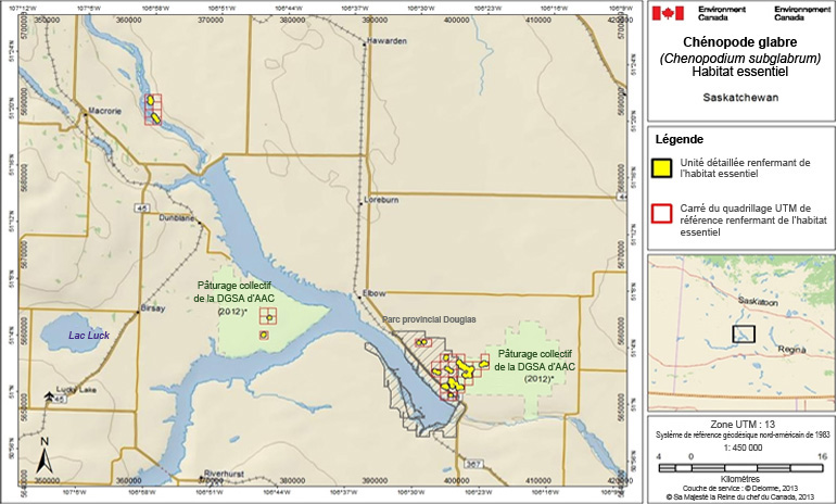 L’habitat essentiel du chénopode glabre en Saskatchewan