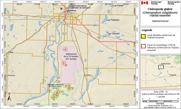 L’habitat essentiel du chénopode glabre en Saskatchewan